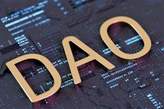 「bitpie官网首页」DAO 能否取代 VC 作为一种投资方式？